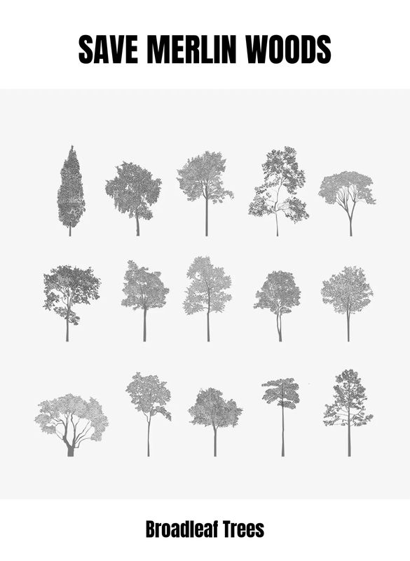 Preview: Protest sign, Broadleaf trees