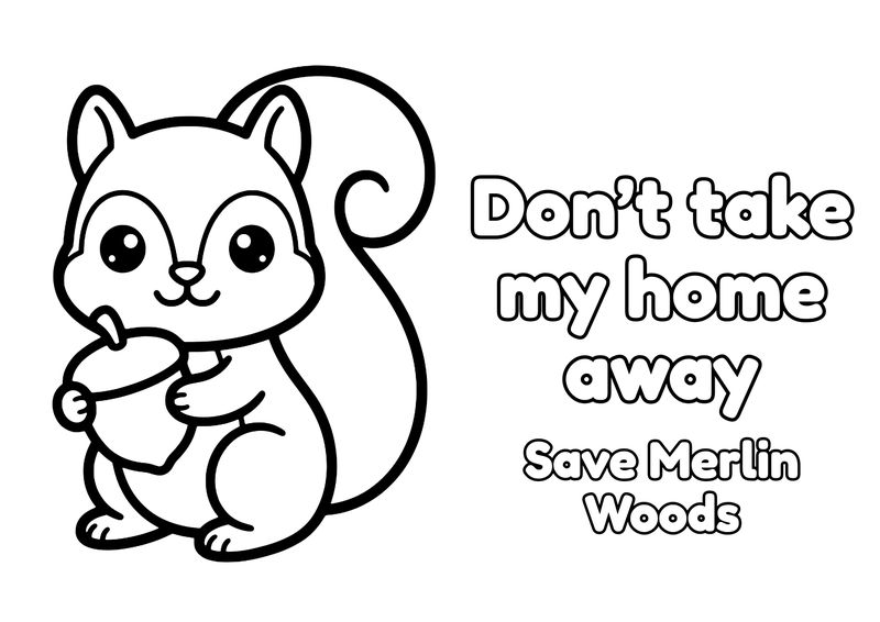 Preview: Kids’ colouring page, Red squirrel: “Don’t take my home away”