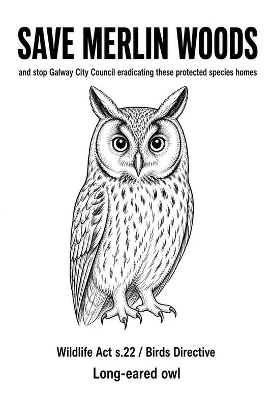 Preview: Protest sign, Long-eared owl