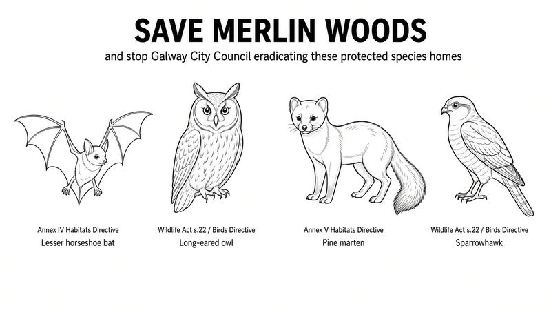 Preview: Protest sign, Protected species: all four
