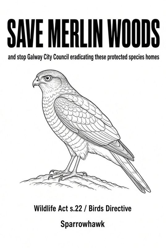 Preview: Protest sign, Sparrowhawk